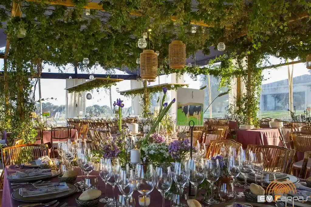 carpas decoracion para bodas