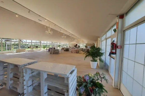 carpa para caterings