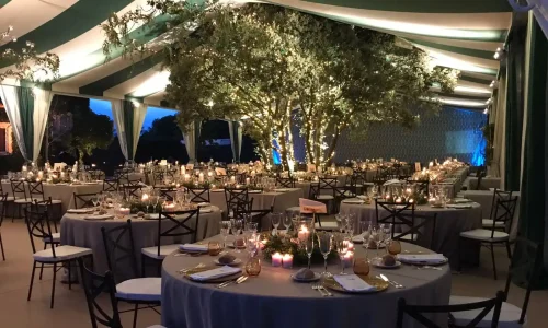 carpas de bodas decoradas - proyecto valladolid maria pato