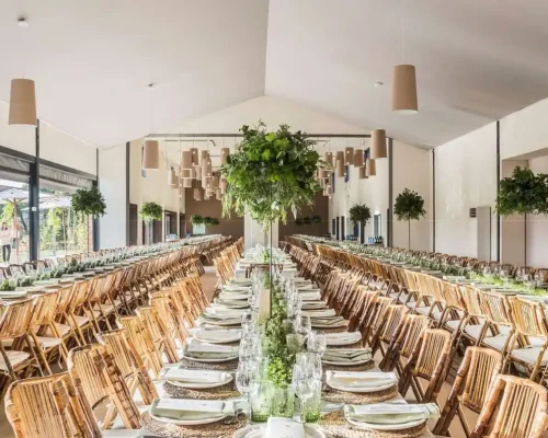 carpas personalizadas alquiler venta