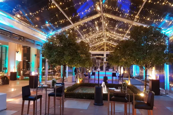 decoracion iluminacion luces carpa