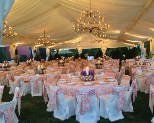 decoracion rosa carpas