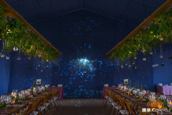 iluminacion discoteca de carpas