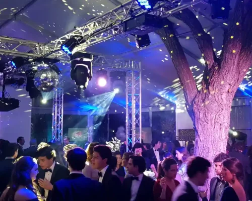 iluminacion fiesta carpa