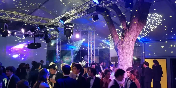 iluminacion fiesta carpa