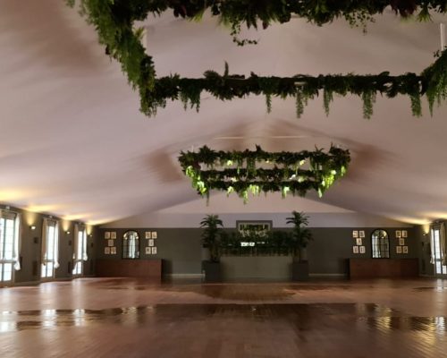 restauracion CARPA FAUNIA