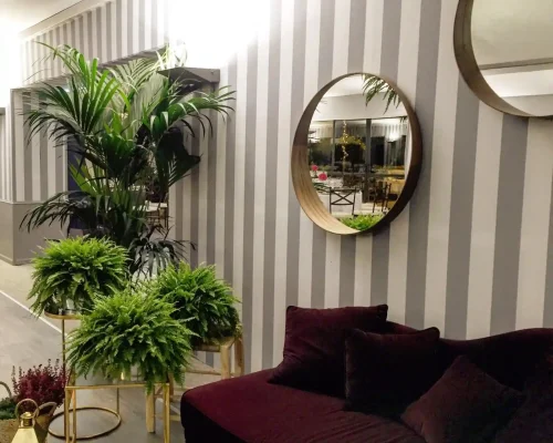 restauracion carpa ARACELI