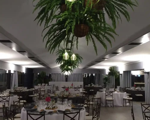 restauracion carpa despues araceli