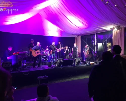 suelos y tarimas para carpas discoteca