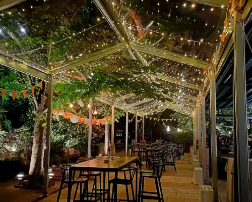 transparente con guinaldas_2